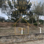 Captura de ecrã 2025-03-19 111453